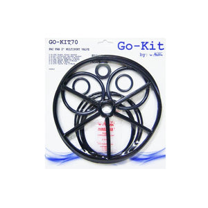 SuperPro GO-KIT70 2 in. valve rebuild kit for Pentair PacFab multiport valves