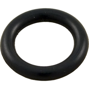 Pentair 154661 rubber O-ring for the air bleed adapter