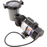 Waterway Hi-Flo II SD-10-1-N above ground pool pump and trap with 3' NEMA cord