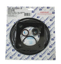 SuperPro GO-KIT6V-9 Viton gasket and O-ring kit for Sta-Rite pumps