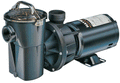 Hayward SP1580X15 Power-Flo LX 1.5 HP above ground pool pump with strainer and cord
