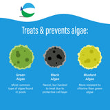 Poolife Defend+ algaecide bottle, secondary product photo