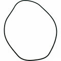 Hayward Header O-Ring Low NOx Heaters | HAXHOR1930