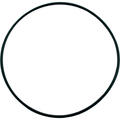 Hayward Housing O-Ring Gasket | SPX1705Z1