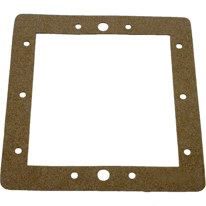 Hayward Gasket AG Skimmer | SPX1094G
