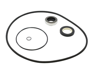 Hayward HCXP6004A HCP pump seal set