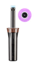 Hunter 4" Pro-Spray 30 PSI Check Valve & Floguard With Reclaimed Body Cap