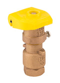 Hunter HQ-33-DLRC; HQ Quick Coupler, ¾" female inlet, 2 slots, 2-piece body; compatible with HK-33 Quick Coupler Key, HS-0 Hose Swivel, and yellow locking lid