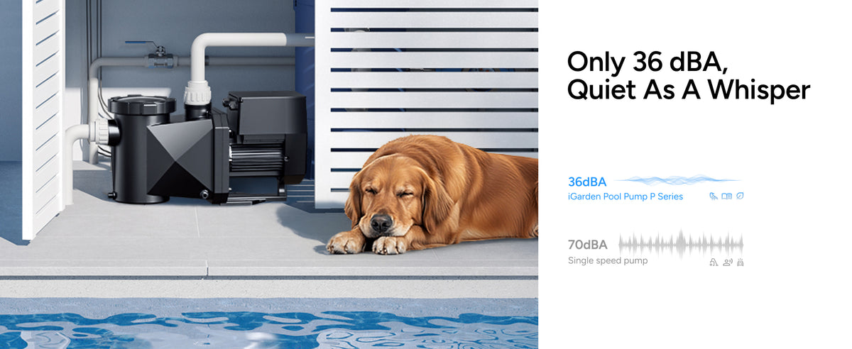 Only 36 dBA, quiet as a whisper: the iGarden P Series at 36 dBA against a single speed pump at 70 dBA, with a dog asleep beside the pump.