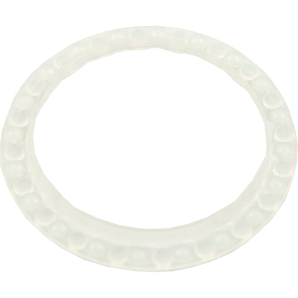 Pentair SWIVEL BEARING WASHER | K12087