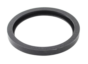 Hayward Lens Gasket Hi-Temp | SPX0550Z2