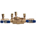 Febco 0683040 LF850-QT 1 Inch Lead Free Bronze Double Check Valve Backflow Preventer Assembly