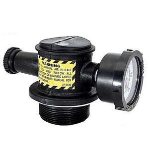 Pentair Black Manual Air Relief Assembly | 273550