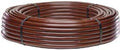 Netafim .6 gph, 18" Spaced, 100' Coil Techline® CV