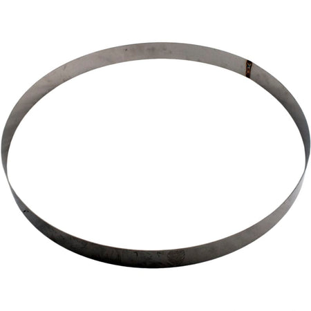 Pentair Genuine OEM Back-Up Ring SS | 195339