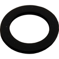 Pentair Gasket for Sand Drain | 154713