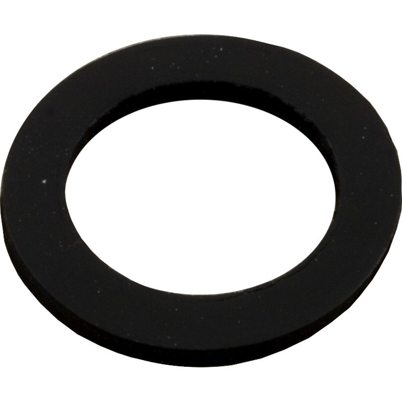 Pentair Gasket for Sand Drain | 154713