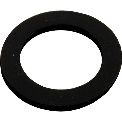 Pentair Gasket for Sand Drain | 154713
