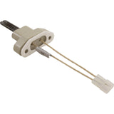 Pentair 2400-286 ignitor, detail view of the element and gasket
