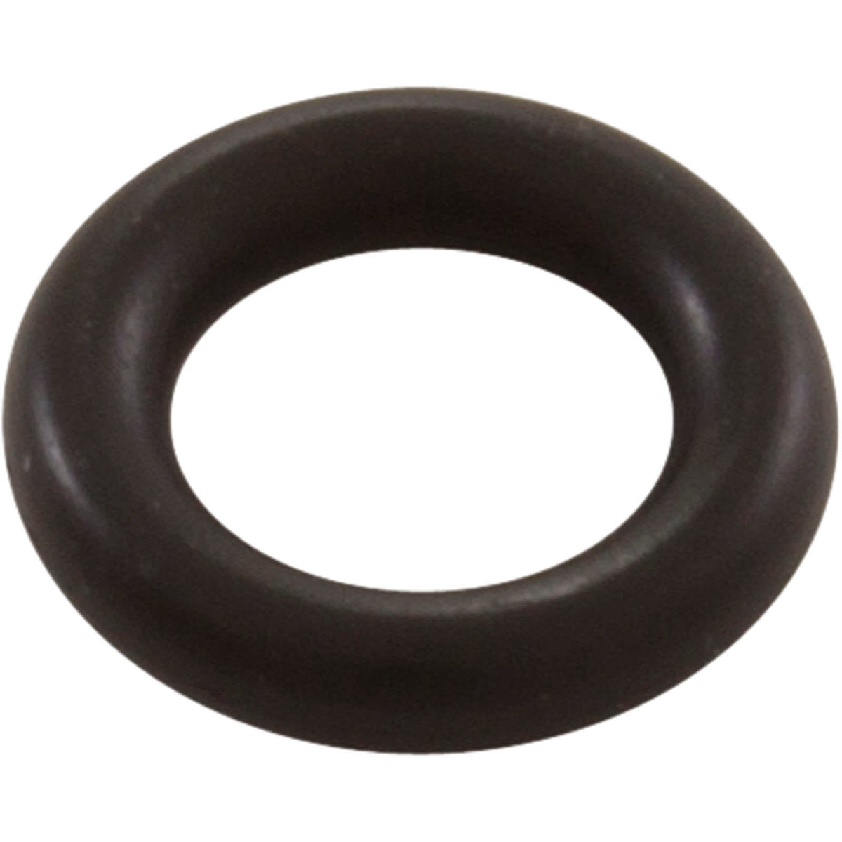 Pentair O-Ring for Air Bleeder | 273513