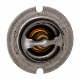 Pentair 474989 MasterTemp 125 thermal regulator, side view