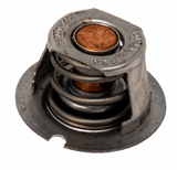 Pentair 474989 MasterTemp 125 thermal regulator, end detail