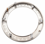 Pentair 79110600 stainless steel face ring assembly, angled view