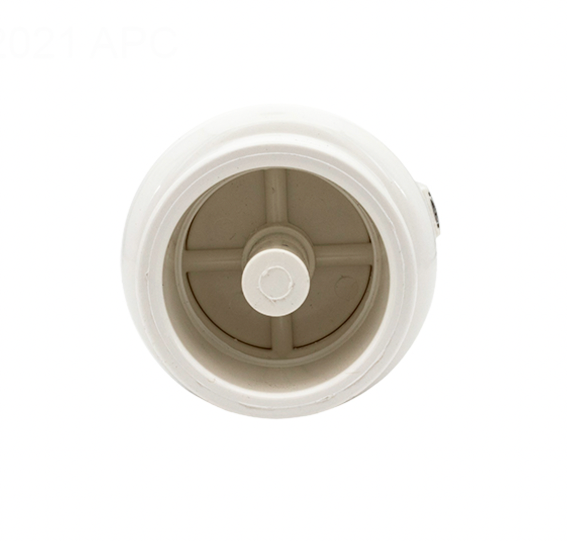 Pentair R172288 check valve showing the 2 in. spigot end