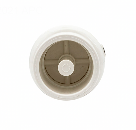 Pentair R172288 check valve showing the 2 in. spigot end