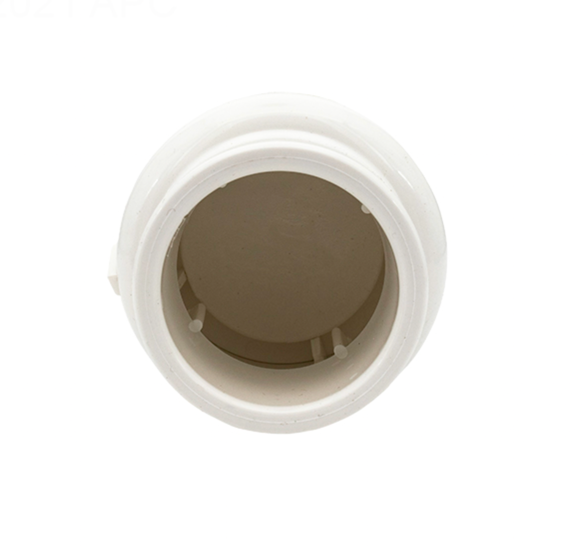 Pentair R172288 check valve, angled view