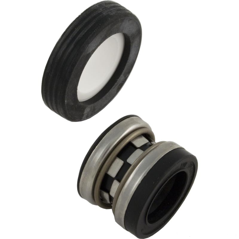 Zodiac Ceramic Spring Seal | P84