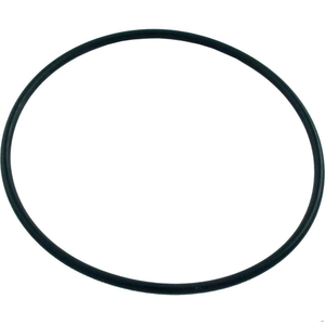 Zodiac 165-65 Chamber O-Ring | 6-412-00