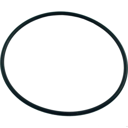 Zodiac 165-65 Chamber O-Ring | 6-412-00
