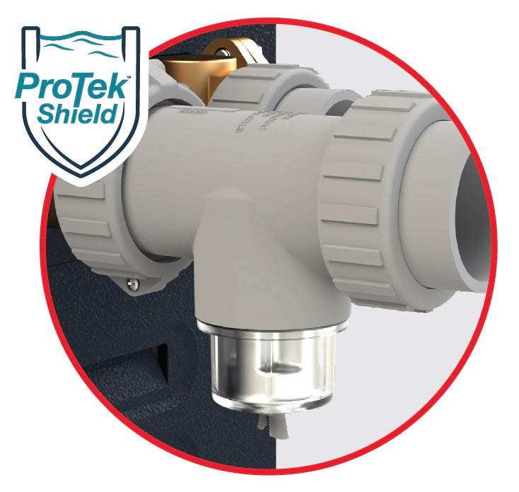 Raypak Protek Shield replacement module