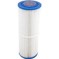Pentair Rainbow Leaf Trap 25 Sq Ft Replacement Cartridge | R172653