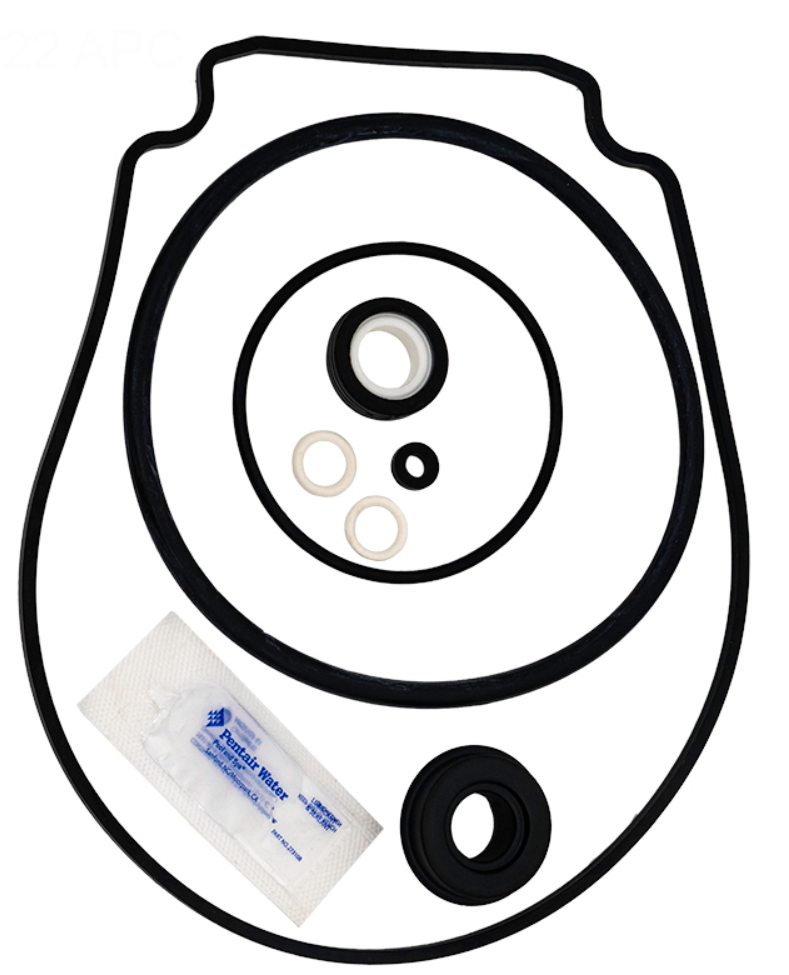 Pentair 356198 seal kit contents laid out: shaft seal, gasket, washer and o-rings
