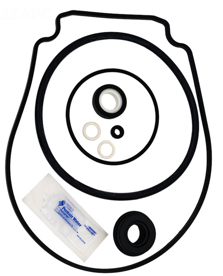 Pentair 356198 seal kit contents laid out: shaft seal, gasket, washer and o-rings