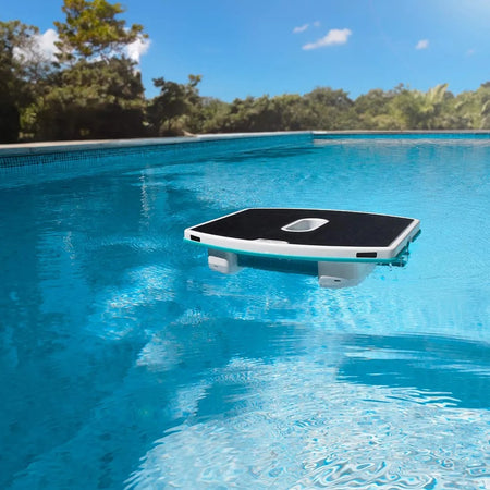 Dolphin Skimmi solar panel, top view