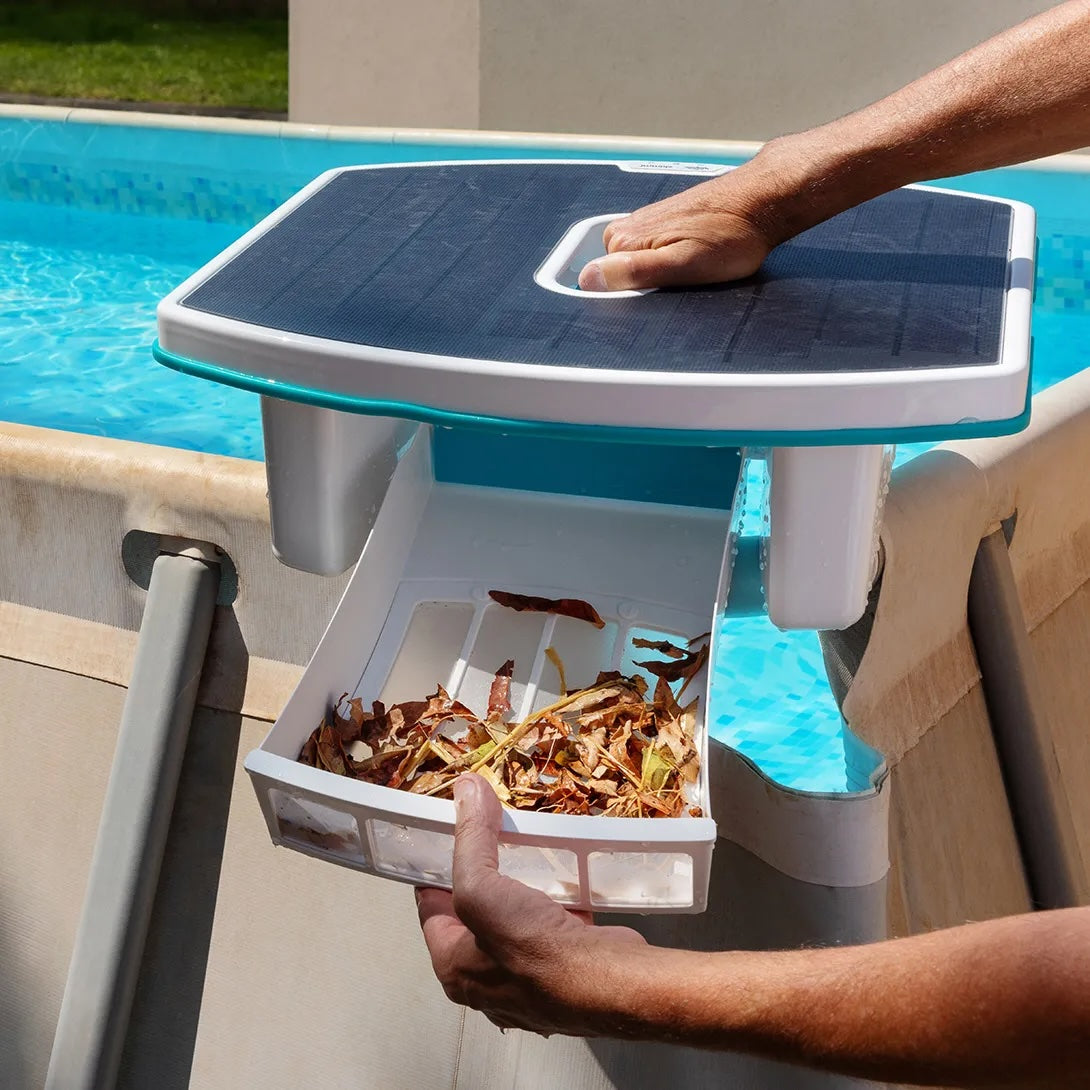 Dolphin Skimmi debris basket