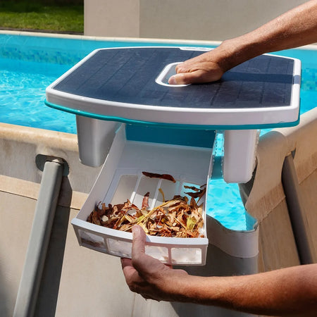 Dolphin Skimmi debris basket
