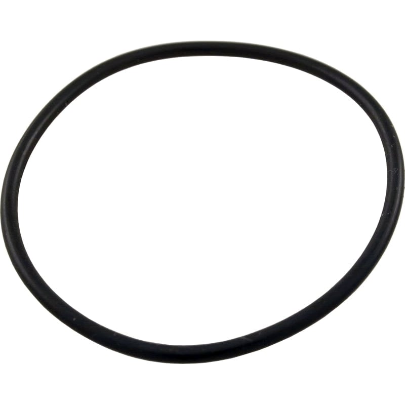 Pentair FNS Plus Stand Pipe O-Ring | 59000600