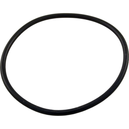 Pentair FNS Plus Stand Pipe O-Ring | 59000600