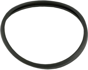 Hayward Lens Gasket Special Hi-Temp | SPX0503W