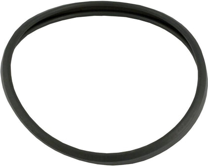 Hayward Lens Gasket Special Hi-Temp | SPX0503W