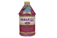 Easy Care Scaletec Plus Pool Surface and Tile Descaler plus Stain Remover 64 oz | 20064