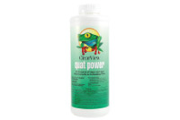 ClearView Quat Power Algae Control 32 oz | CVLQPQT12