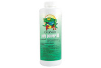 ClearView Poly Power 60 Concentrated Algaecide 32 oz | CVLPPQT12