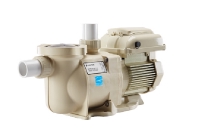 Pentair SuperFlo Variable Speed Energy Efficient Pump | 1.5HP 230V | EC-342001