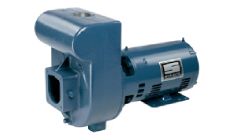 PENTAIR DHH-169 D-SERIES PUMP 3HP 1PH 230V